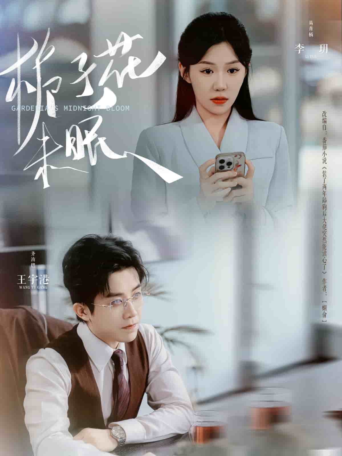 栀子花未眠海报