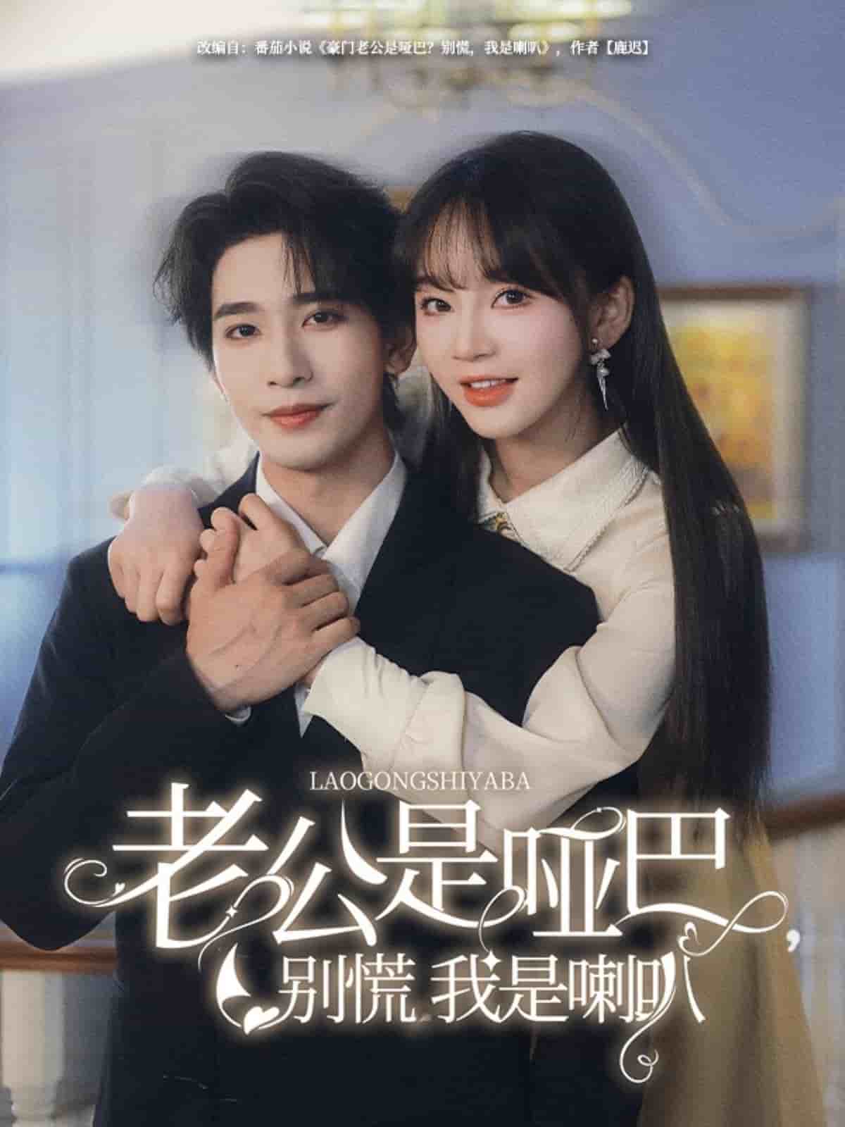 老公是哑巴，别慌我是喇叭海报