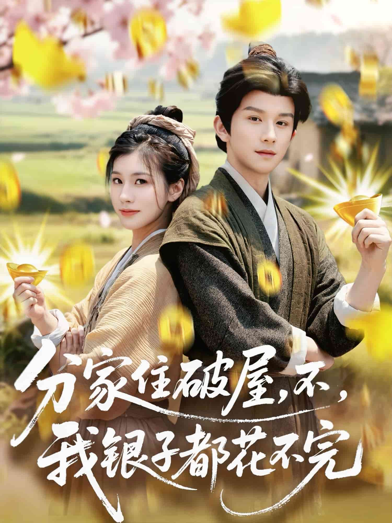 分家住破屋，不，我银子都花不完海报