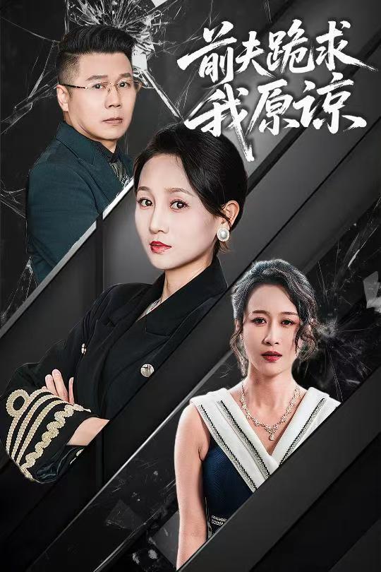 前夫跪求我原谅海报