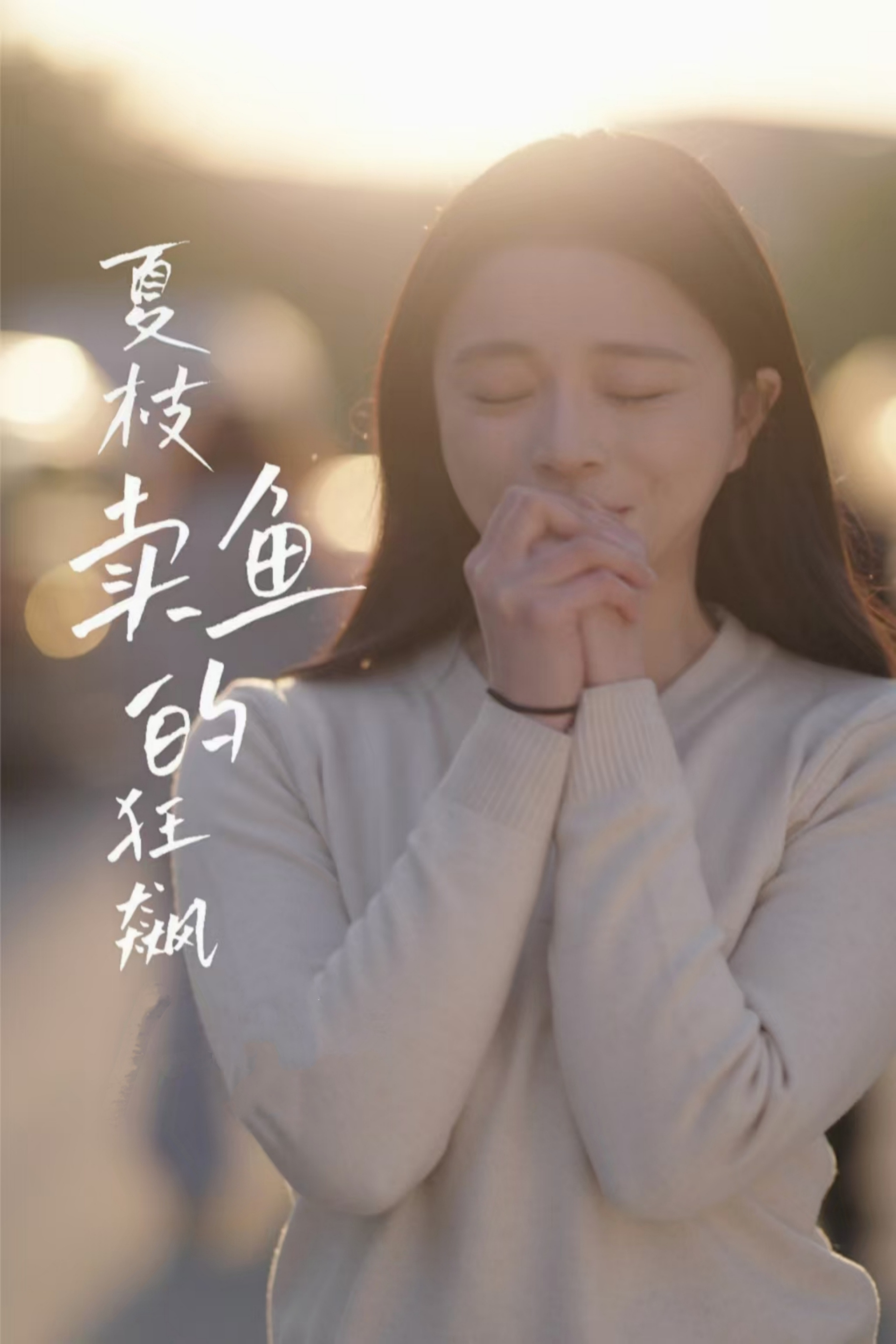 夏枝卖鱼的狂飙人生海报