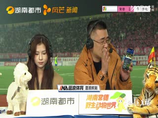 湖南省足球联赛 常德队VS怀化队 20251031海报