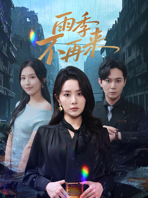 雨季不再来海报