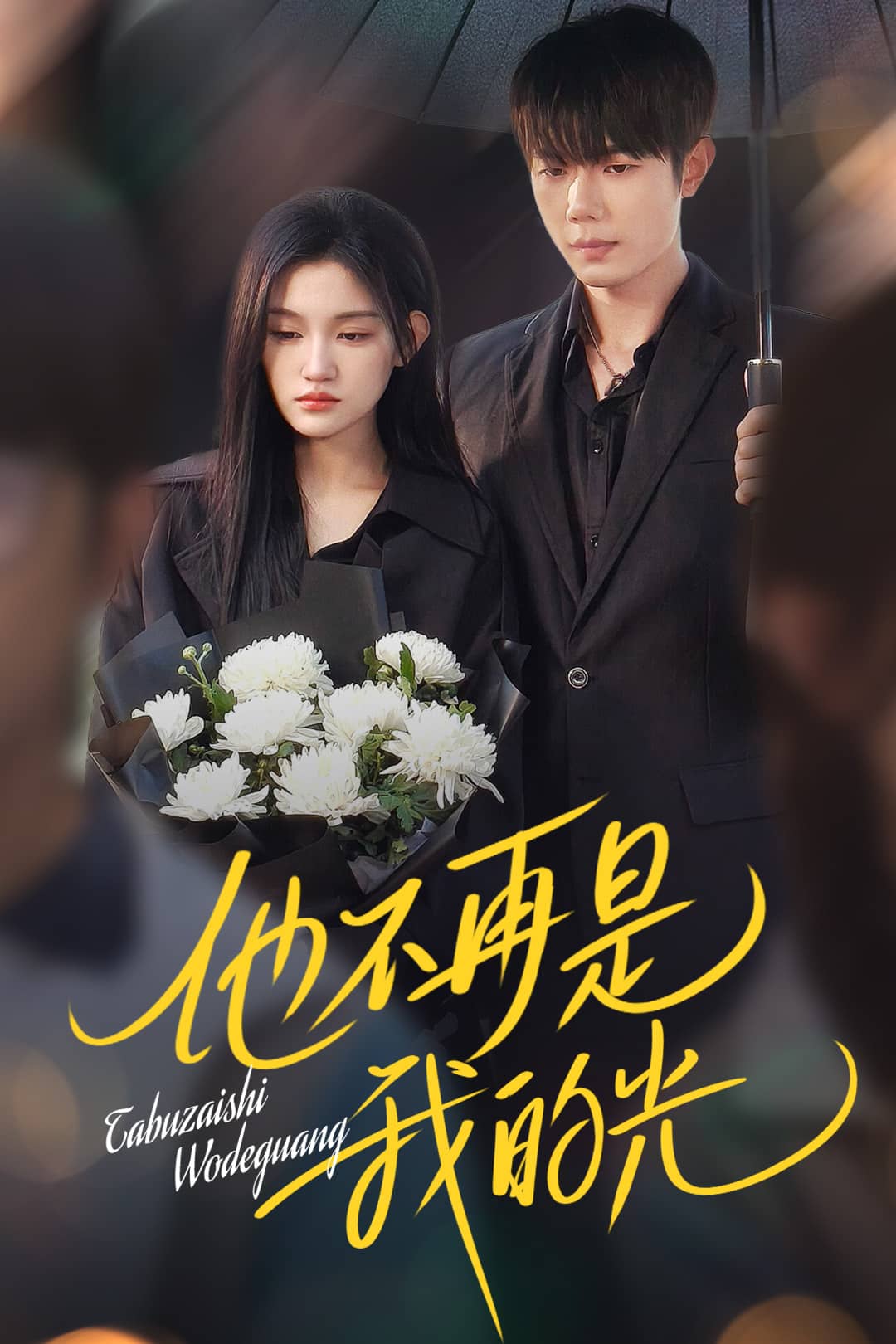 他不再是我的光海报