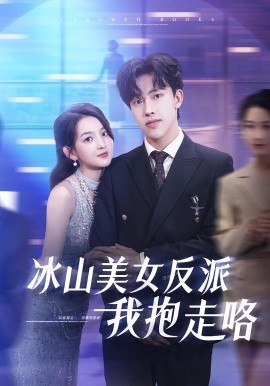 冰山美女反派我抱走咯海报