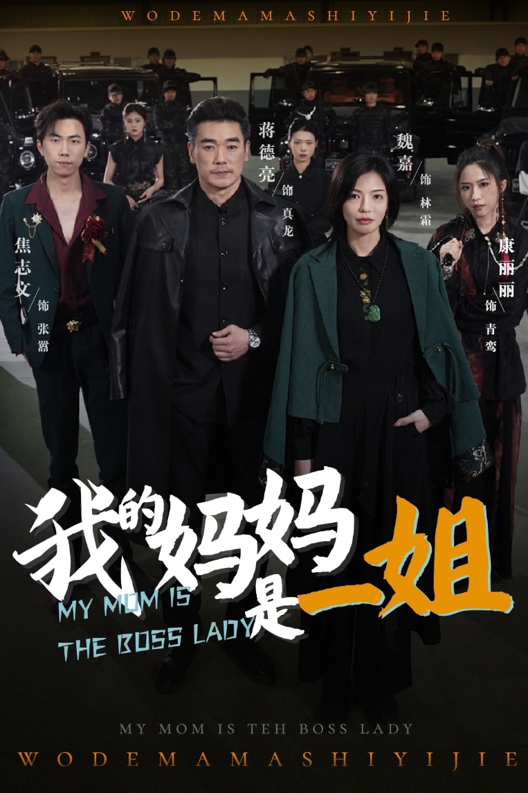 我的妈妈是一姐海报