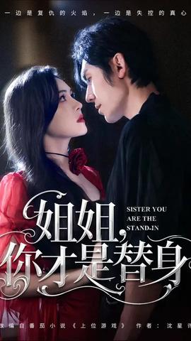 姐姐你才是替身海报