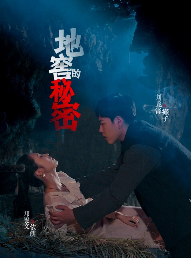 地窖的秘密海报