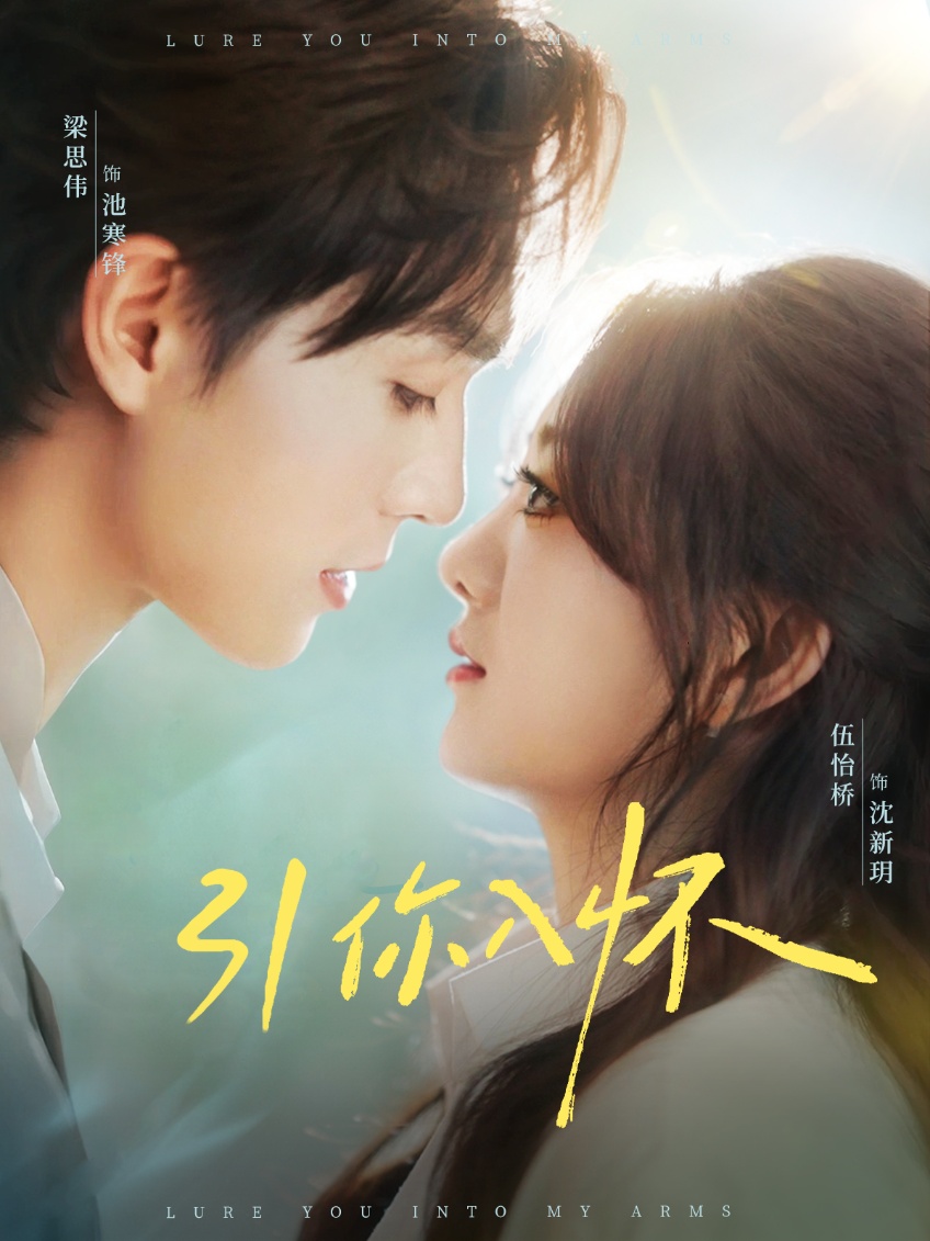 引你入怀海报