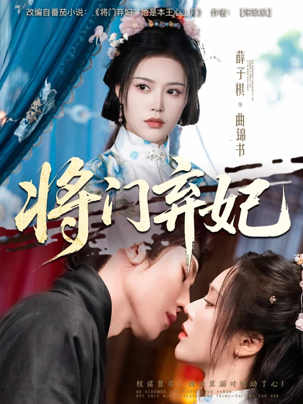 将门弃妃海报