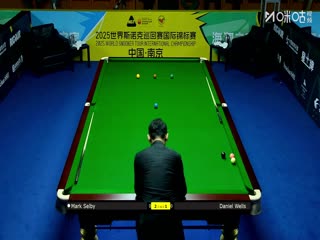 2025斯诺克国际锦标赛32进16 马克·塞尔比6-3丹尼尔·威尔斯 20251104海报
