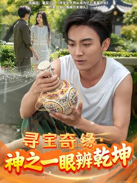 寻宝奇缘，神之一眼辨乾坤海报