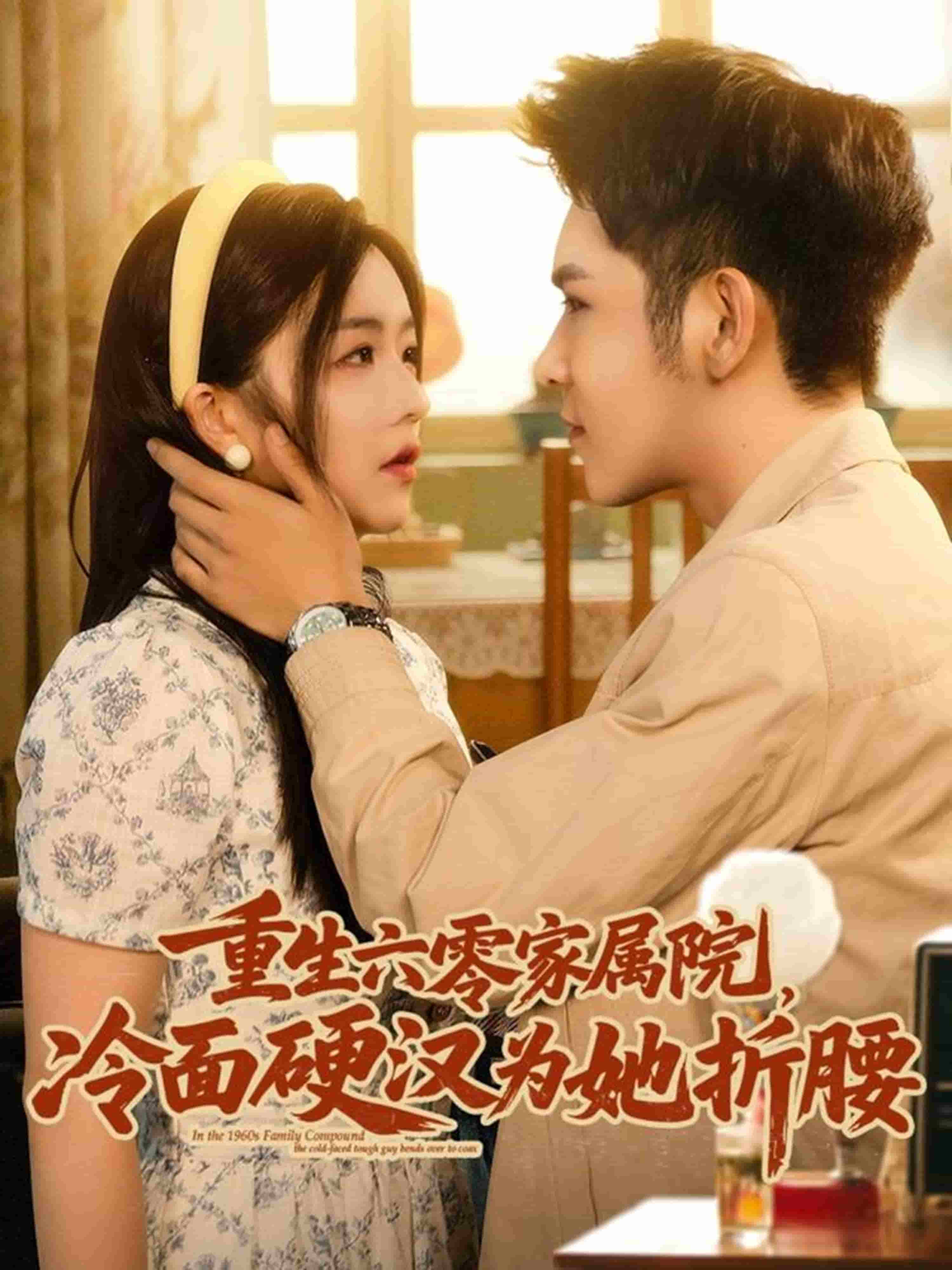 重生六零家属院冷面硬汉为她折腰海报