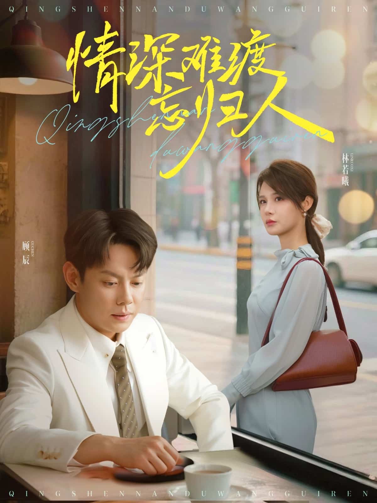 情深难渡忘归人海报