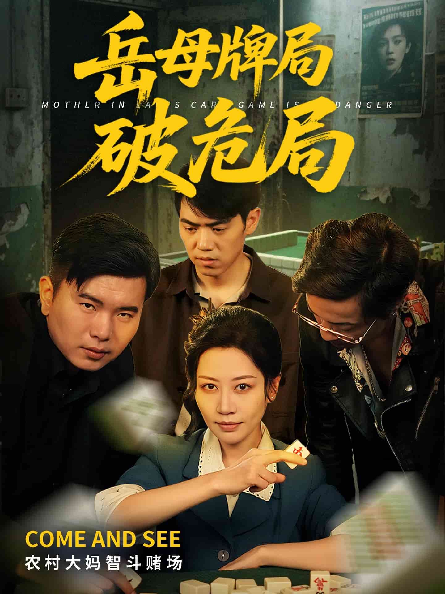 岳母牌局破危局海报