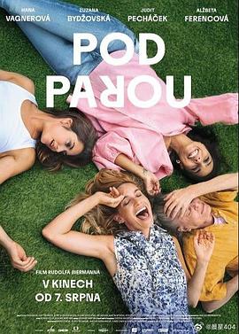 酒精计划2025海报