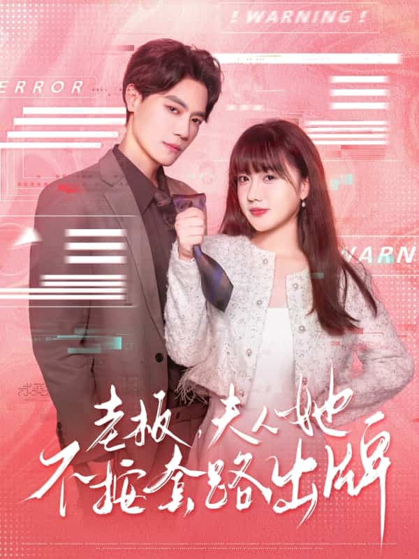 老板夫人她不按套路出牌海报