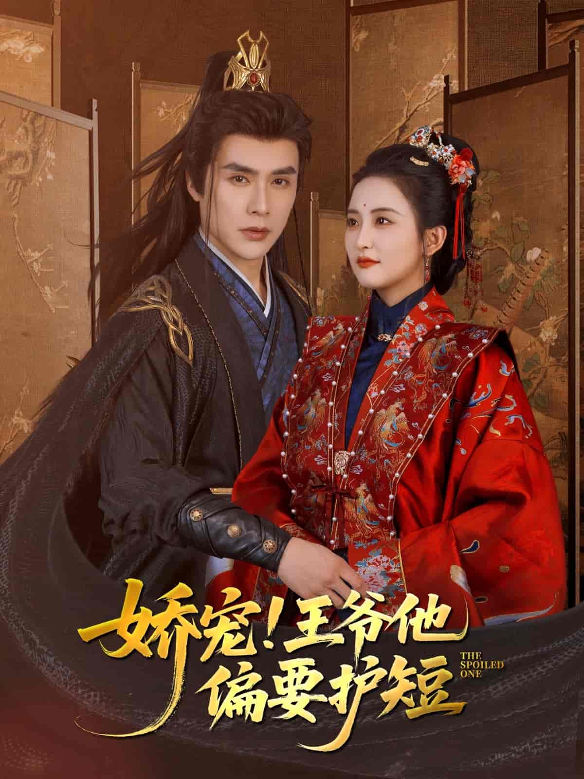 娇宠!王爷他偏要护短海报