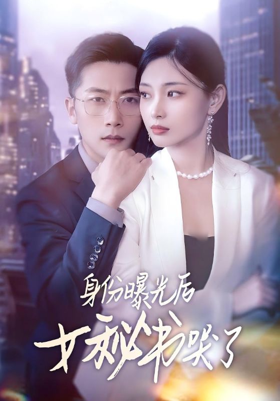 身份曝光后女秘书哭了海报