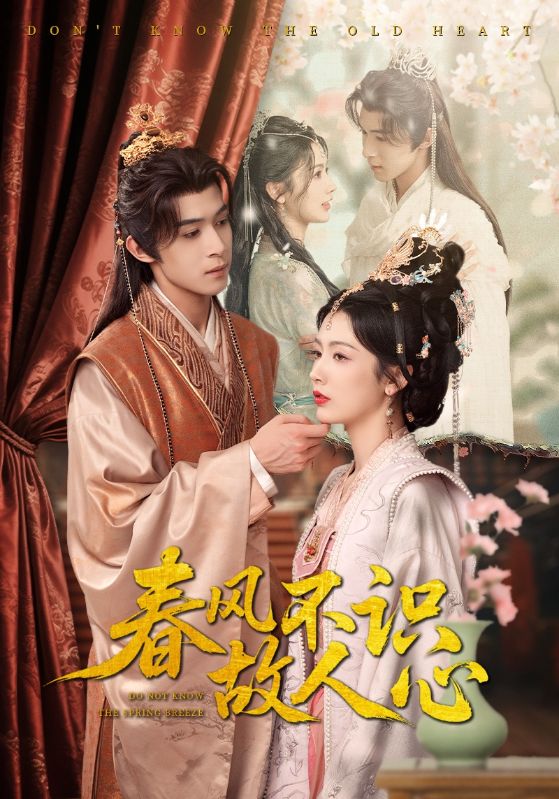 春风不识故人心海报