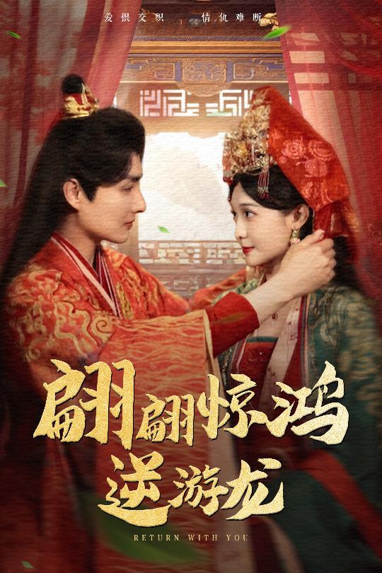 翩翩惊鸿逆游龙海报