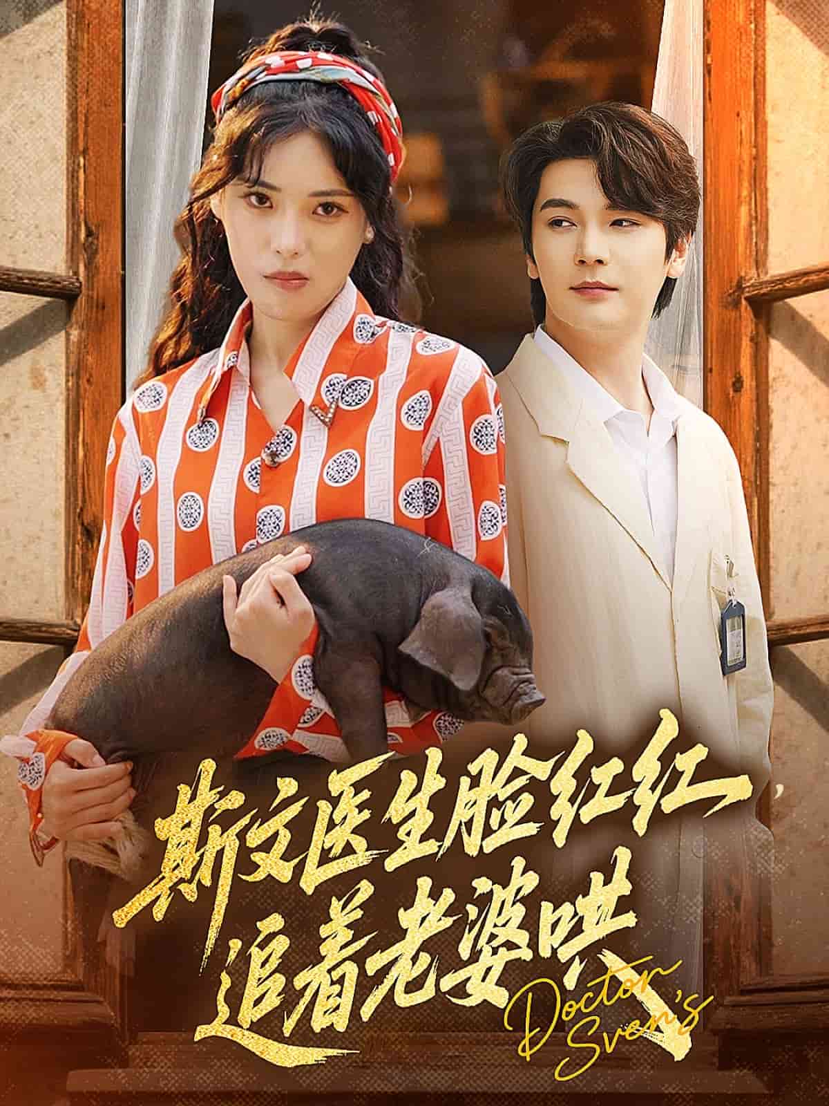 斯文医生脸红红追着老婆哄海报