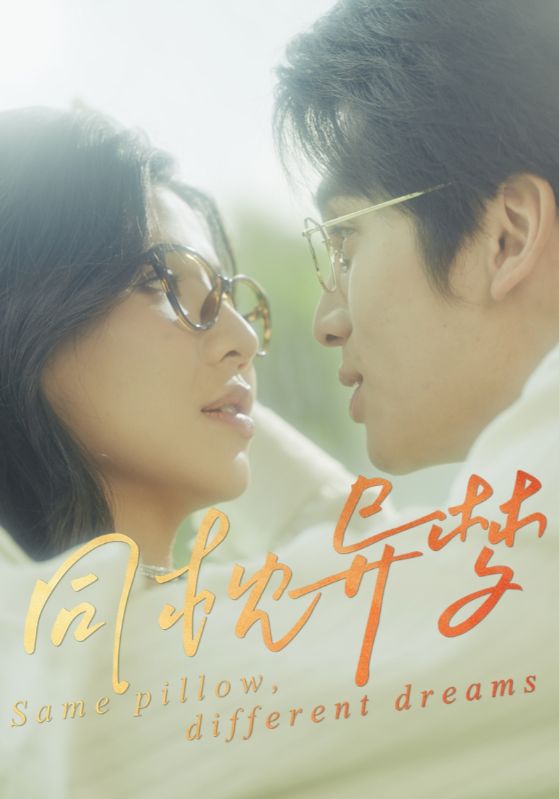 同枕异梦海报
