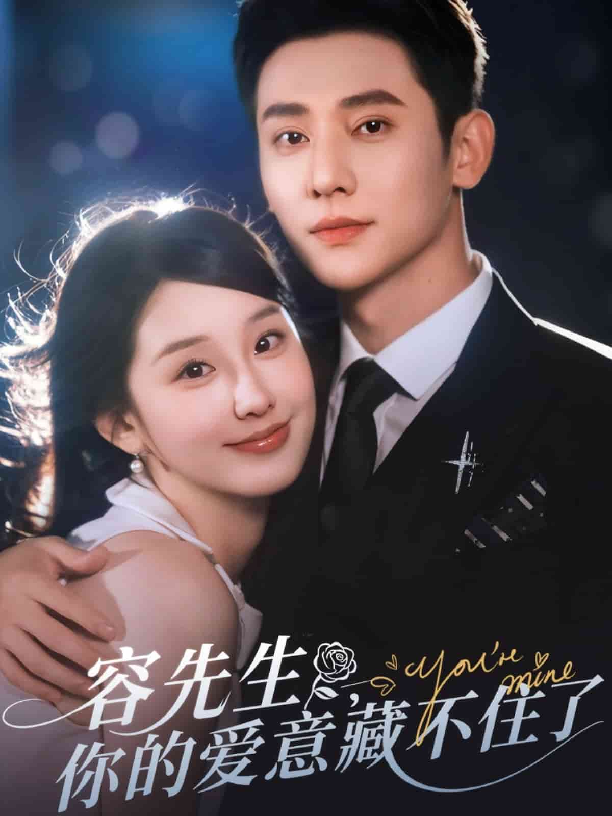 容先生你的爱意藏不住了海报