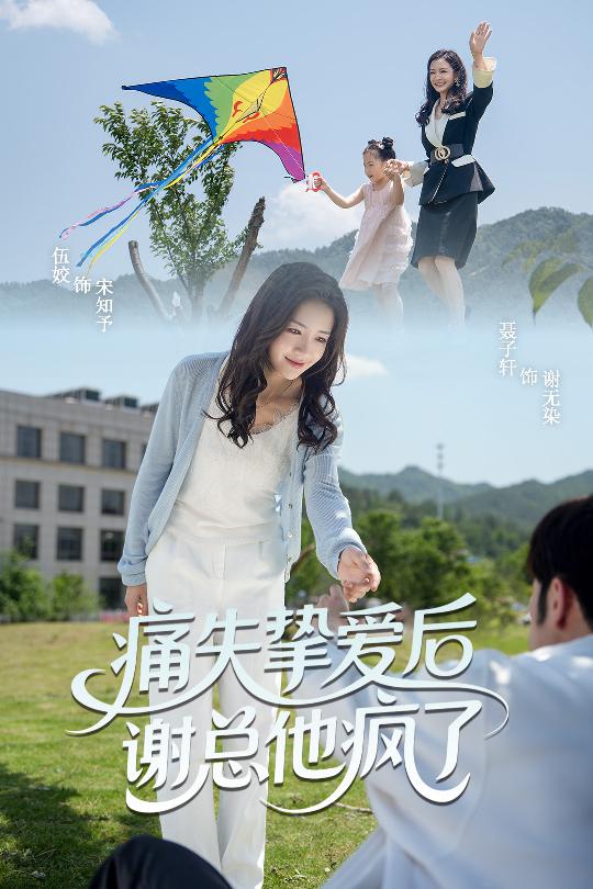 痛失挚爱谢总他疯了海报