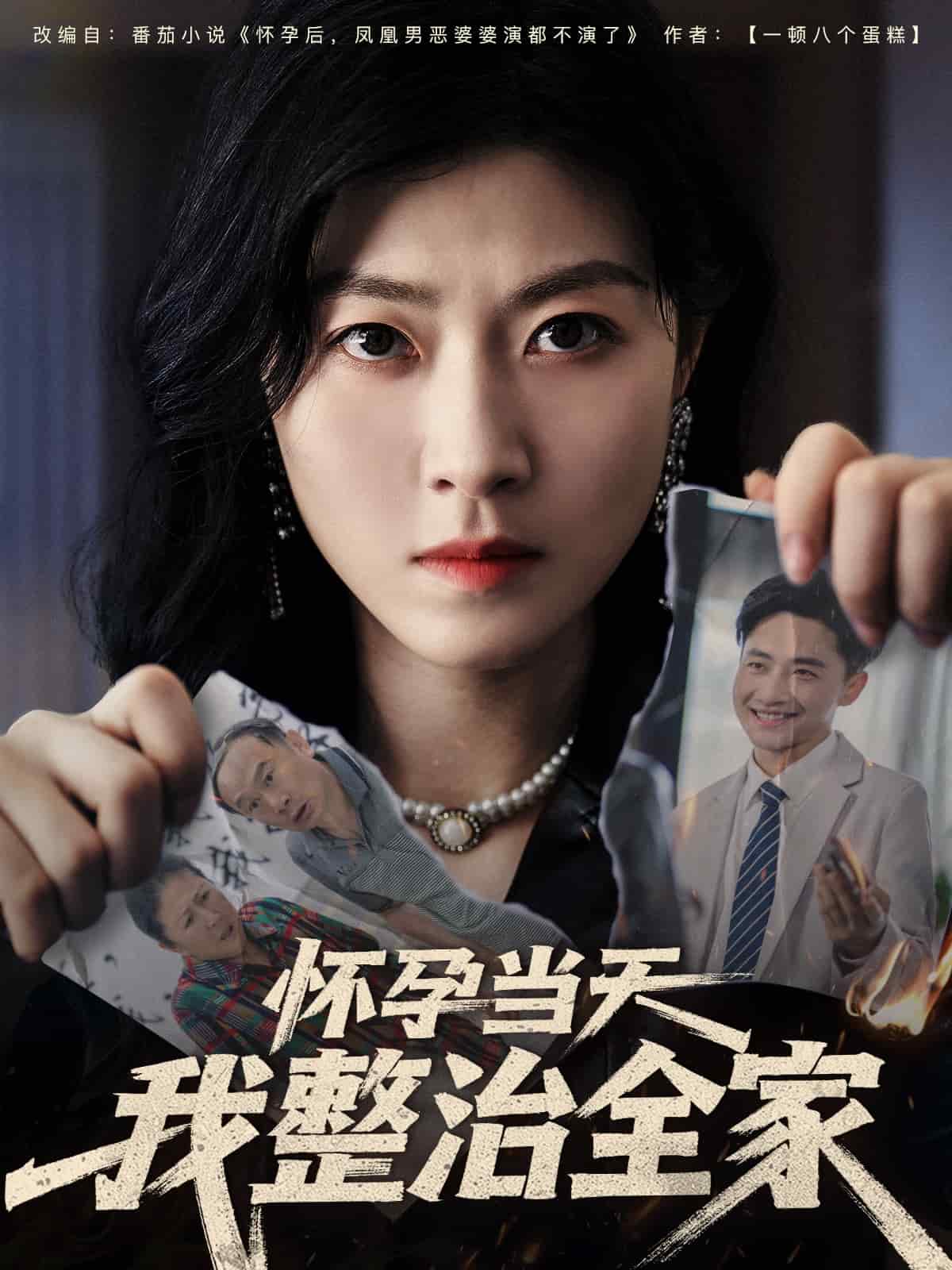 怀孕当天我整治全家海报