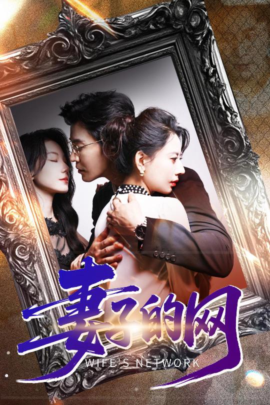 妻子的网海报