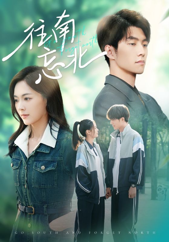 往南忘北海报