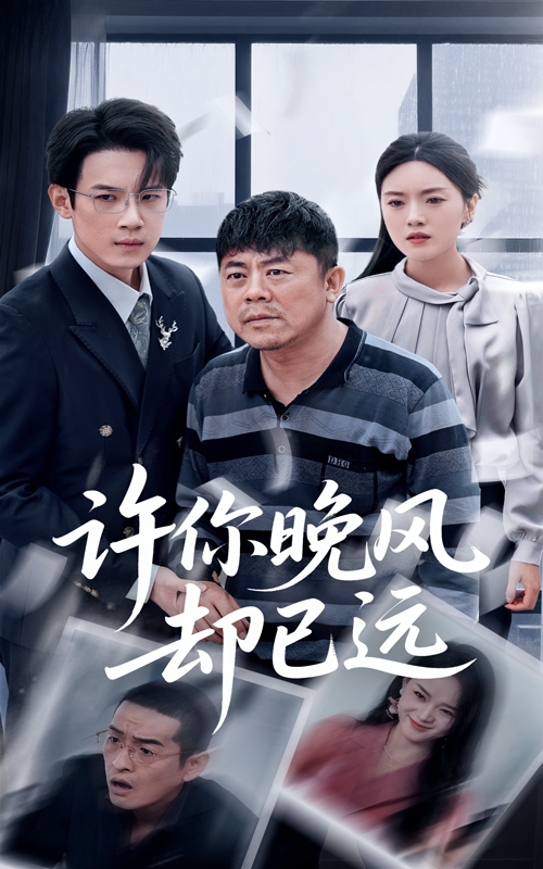 许你晚风却已远海报