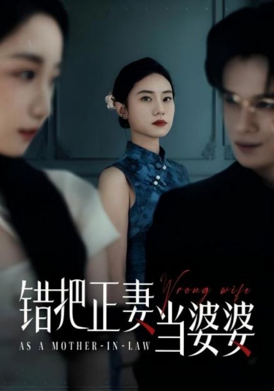 错把正妻当婆婆海报