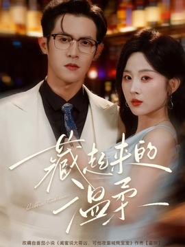 藏起来的温柔海报