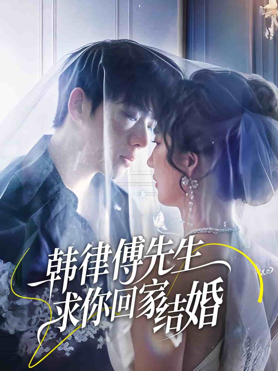 韩律傅先生求你回家结婚海报