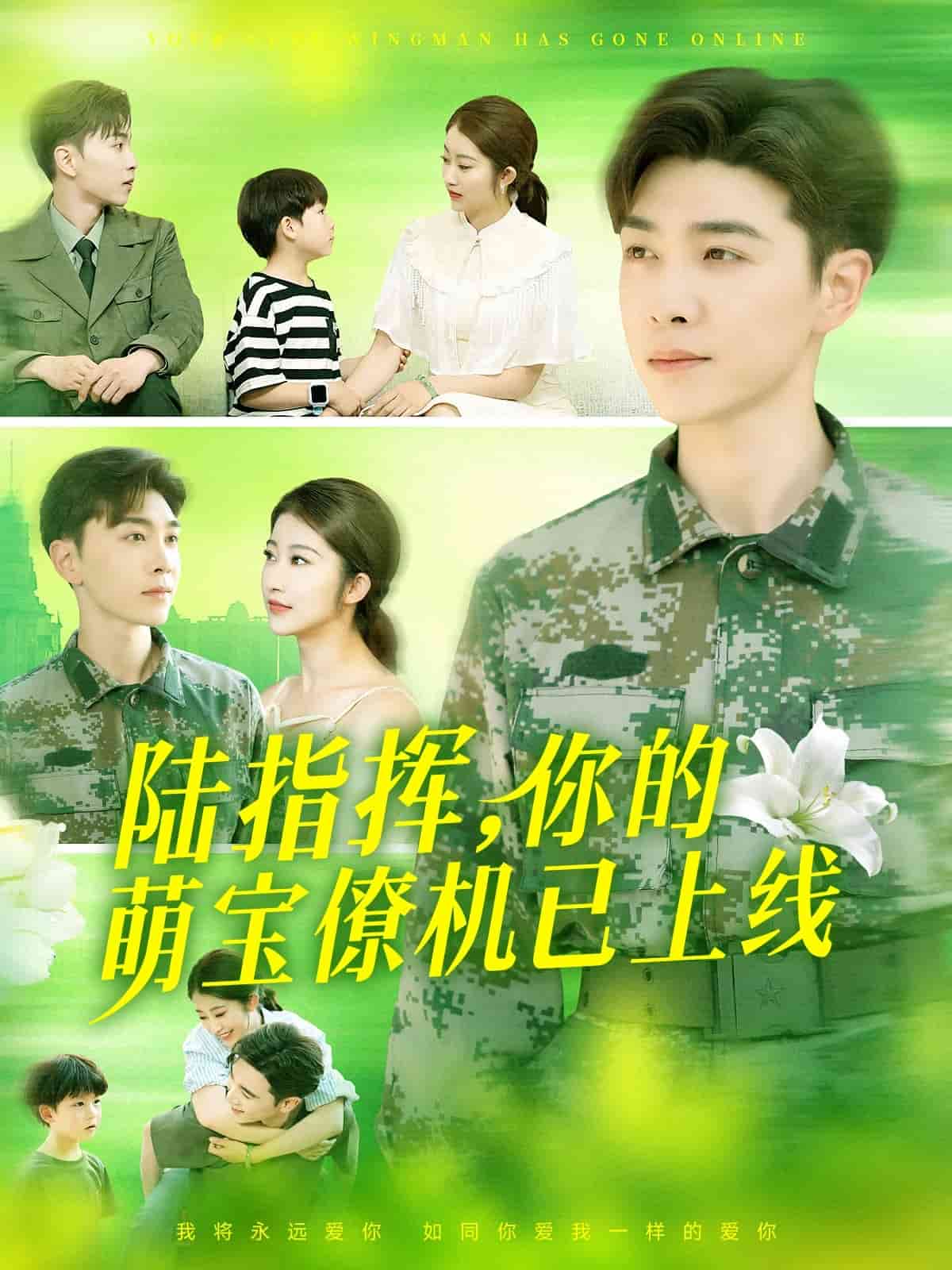 陆总你的萌宝已上线海报