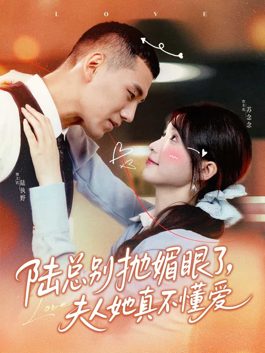 陆总别抛媚眼了夫人她真不懂爱海报