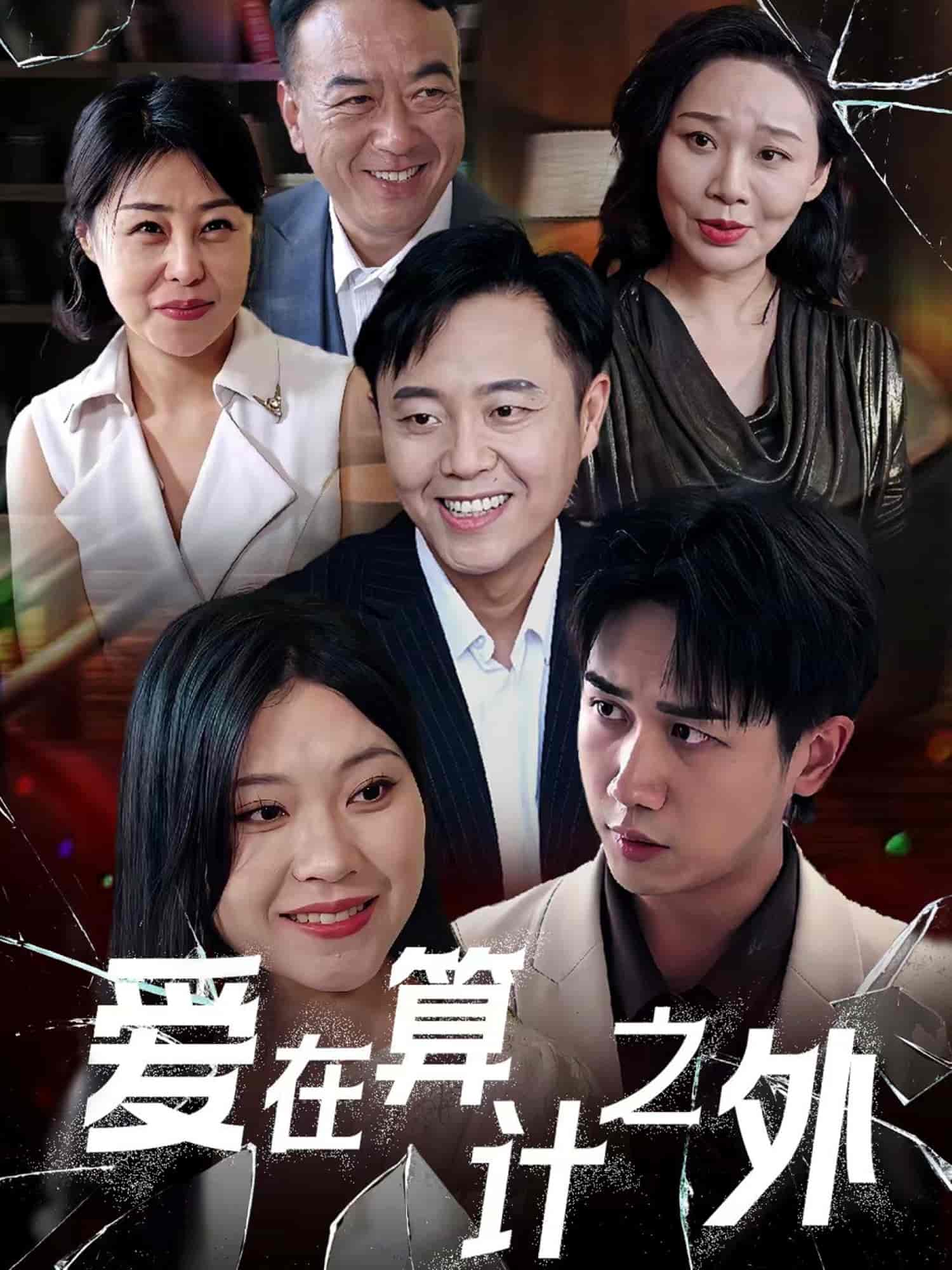 爱在算计之外海报