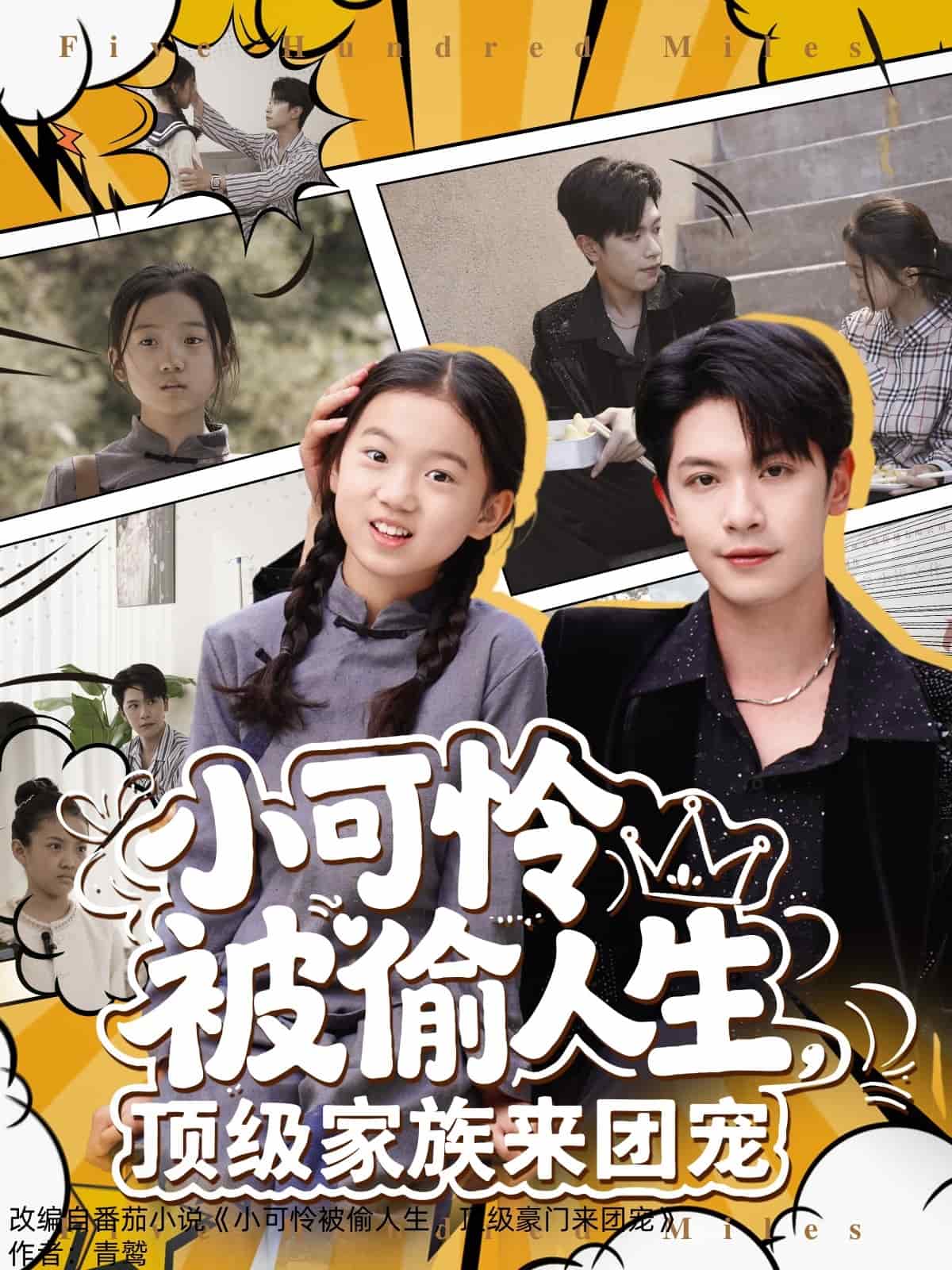 小可怜被偷人生，顶级家族来团宠海报