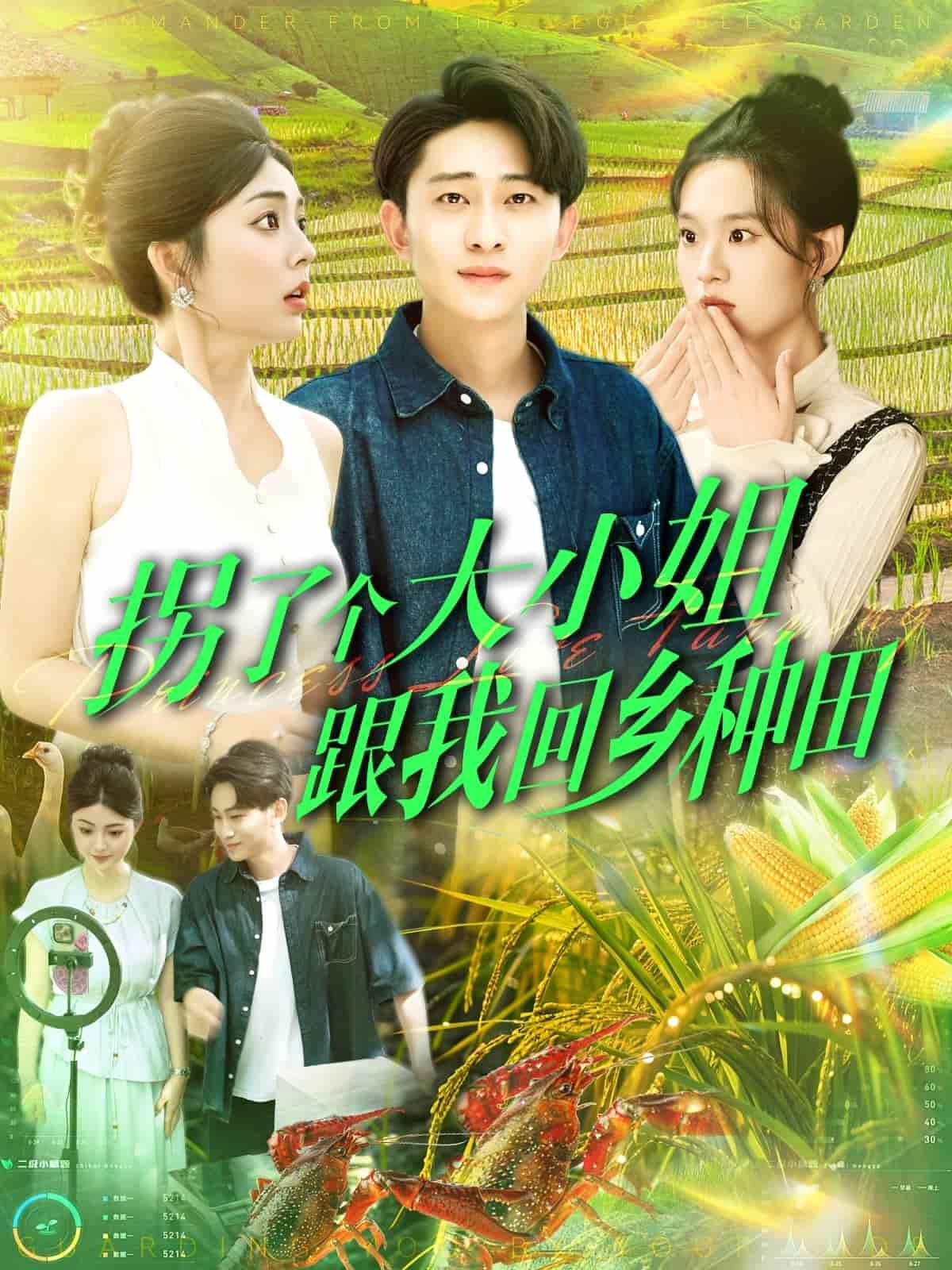 拐了个大小姐跟我回乡种田海报