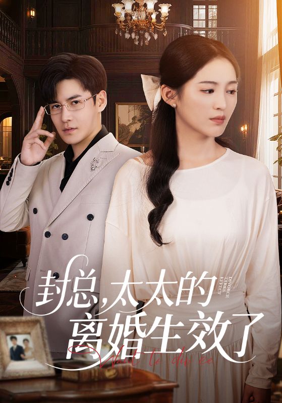 封总，太太的离婚生效了海报