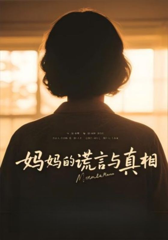 妈妈的谎言与真相海报