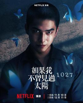 如果我不曾见过太阳海报