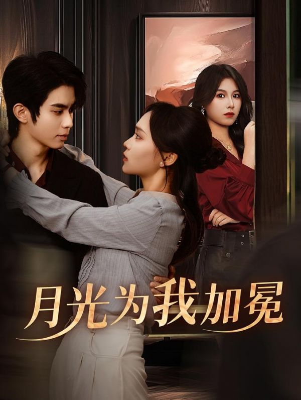 月光为我加冕海报