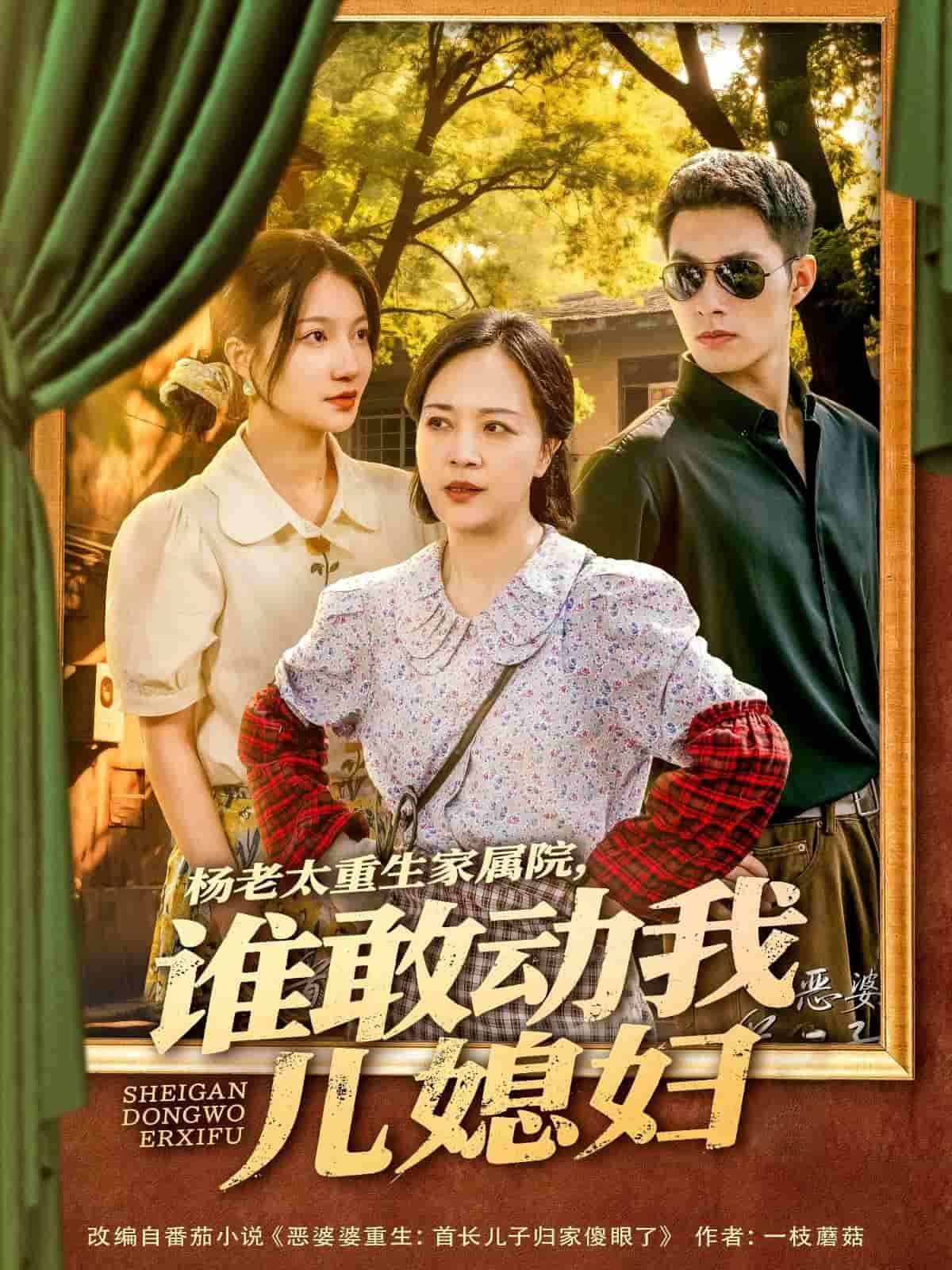 杨老太重生家属院，谁敢动我儿媳妇海报