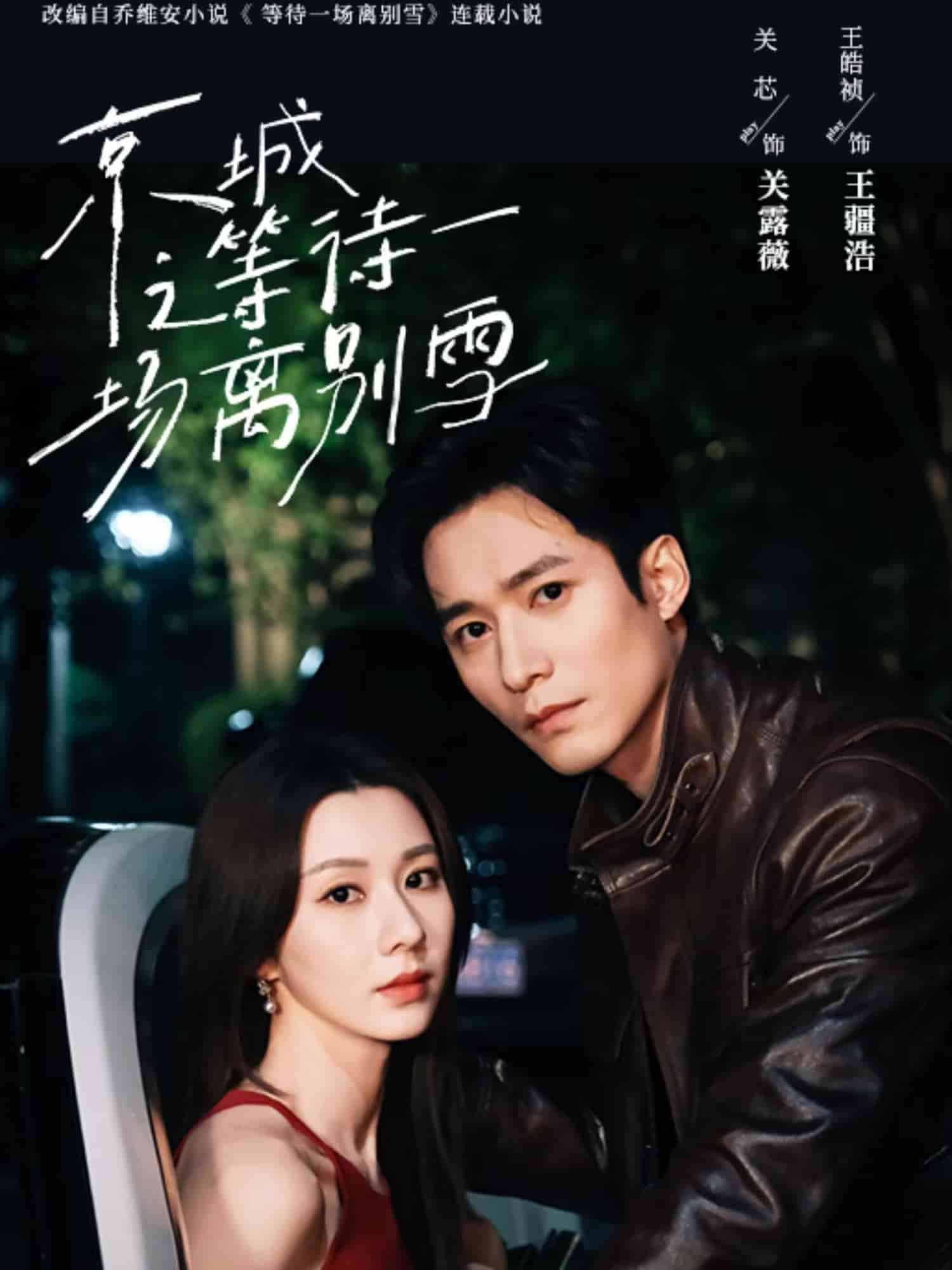 京城之等待一场离别雪海报
