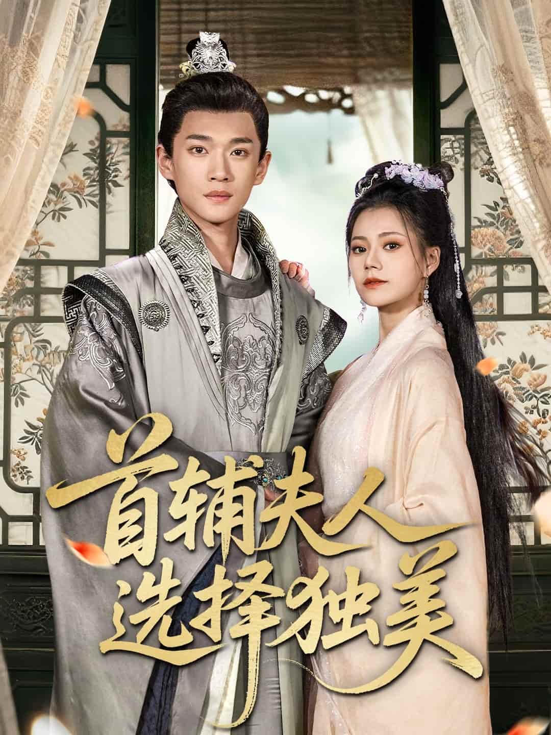 首辅夫人选择独美海报