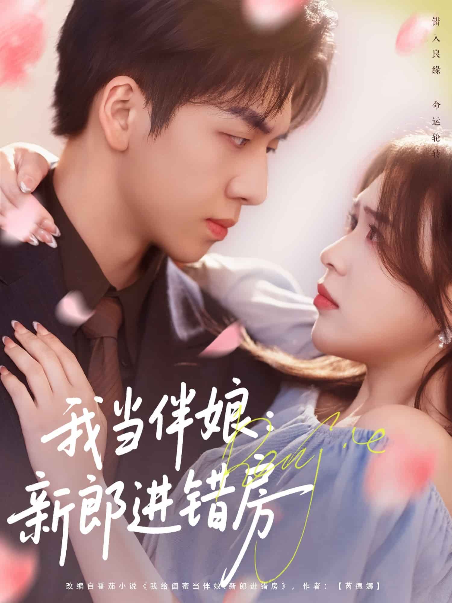 我当伴娘新郎进错房海报
