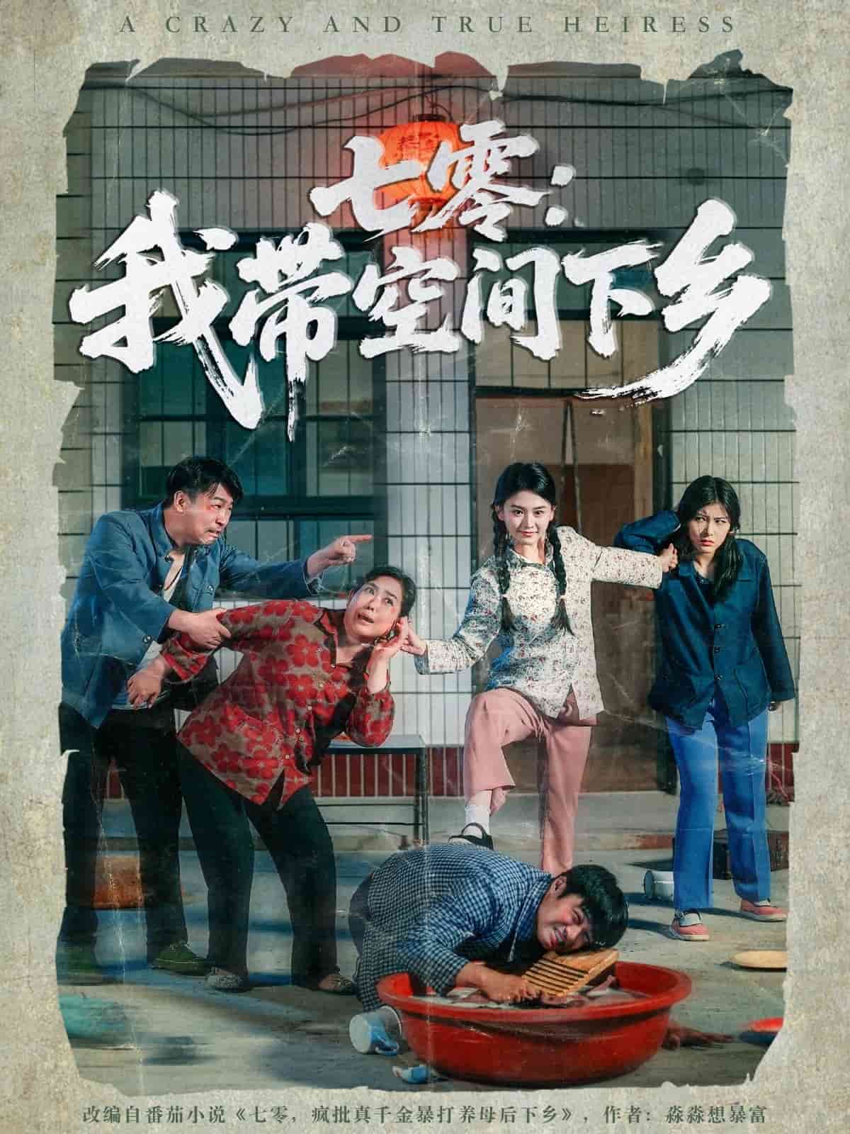 七零：我带空间下乡海报